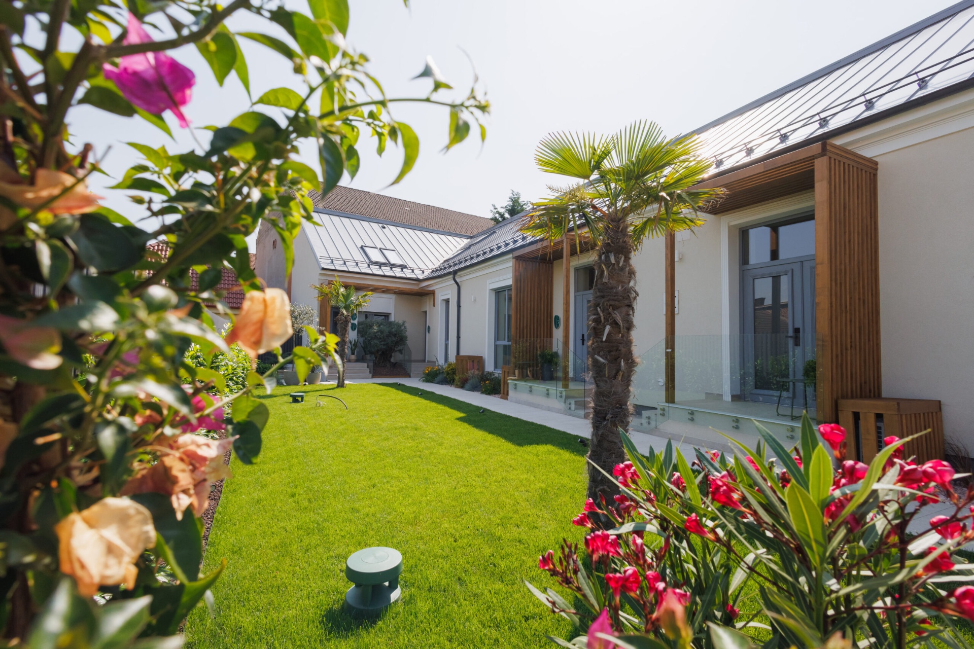 Living premium cu tapet tropical, canapea albă și bucătărie deschisă.